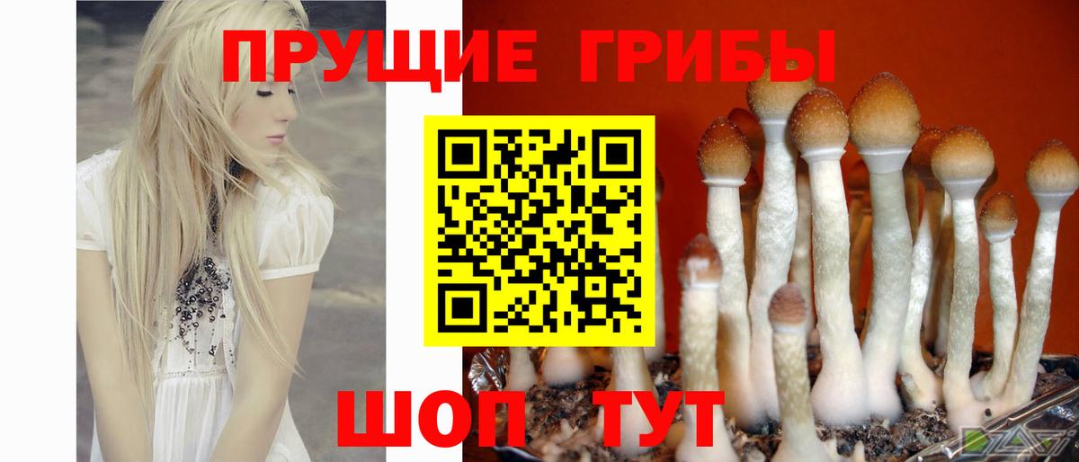 Галлюциногенные грибы GOLDEN TEACHER Арсеньев